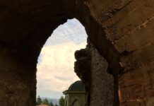 Gustave Mendel ve Müze Yayıncılığına Katkısı