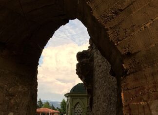 Gustave Mendel ve Müze Yayıncılığına Katkısı