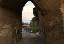 1925 Yılında Başlayan Yeni Yayınlar